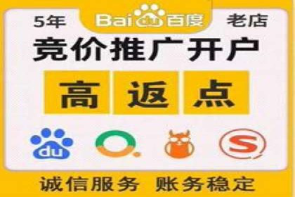 深度解析：百度竞价排名的成功案例及启示